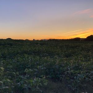 Meet your Posher, Bridget